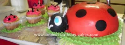 Homemade  Ladybug Birthday Cake