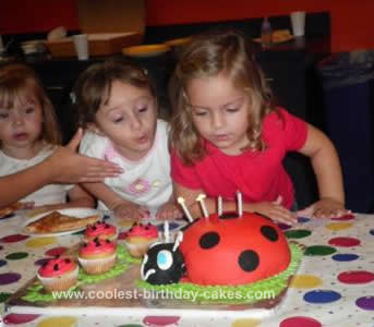 coolest-ladybug-birthday-cake-143-21431277.jpg