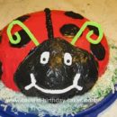 Homemade Ladybug Birthday Cake