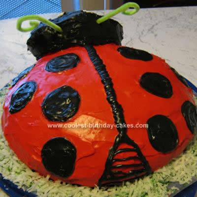 coolest-ladybug-birthday-cake-146-21454716.jpg