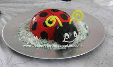coolest-ladybug-birthday-cake-146-21454717.jpg