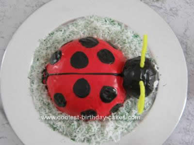 coolest-ladybug-birthday-cake-146-21454718.jpg