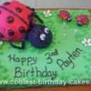 Homemade Ladybug Birthday Cake