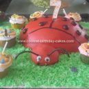 Homemade Ladybug  Birthday Cake