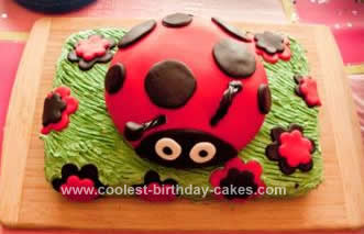 Homemade Ladybug Birthday Cake Design