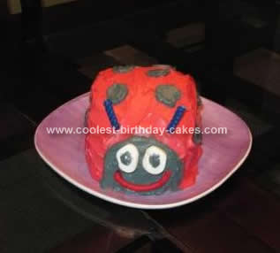 coolest-ladybug-birthday-cake-idea-135-21384595.jpg
