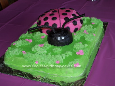 Homemade Ladybug Birthday Cake Idea