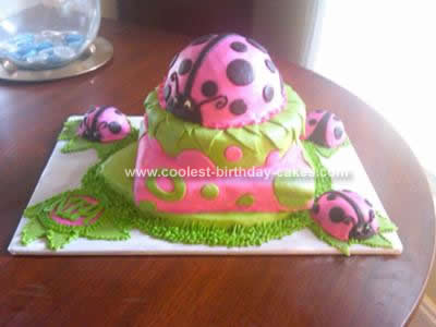 Homemade  Ladybug Cake