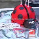 Coolest Ladybug Cake