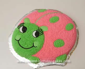 Homemade Ladybug Cake