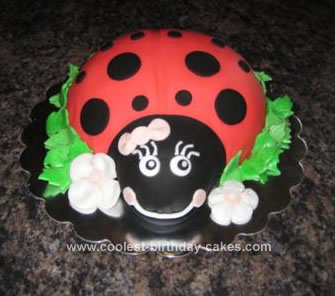 Homemade Ladybug Cake
