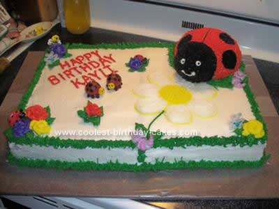 Homemade Ladybug Cake Design