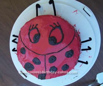 Homemade Ladybug Cake Idea