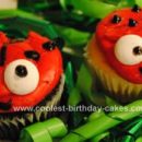 Homemade Ladybug Cupcakes and Birthday Cake