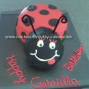 Homemade Ladybug Homemade Cake