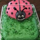 Homemade Ladybug in Grass Cake