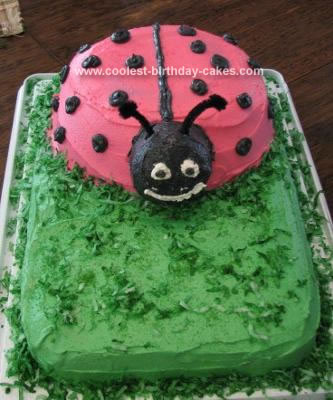 Homemade Ladybug in Grass Cake