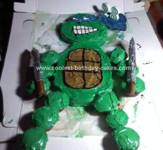 Homemade Leonardo Birthday Cake