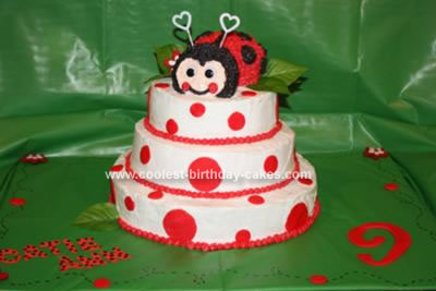 Homemade Lovely Ladybug Cake