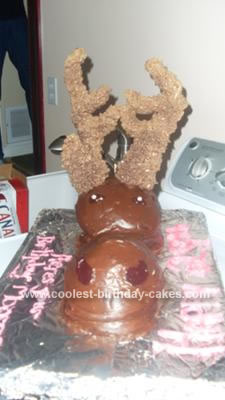 Homemade Moose Cake