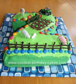 Homemade Out on the Farm Cake