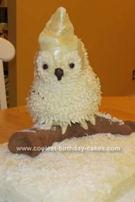 Homemade Owl Cake