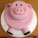 Homemade Pig Cake