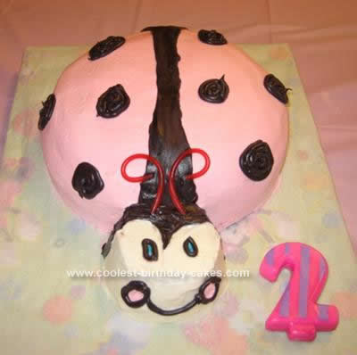 Homemade Pink Ladybug Birthday Cake Design
