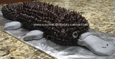 Homemade Platypus Cake