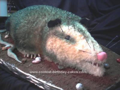 Homemade Possum Cake
