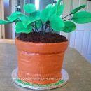 Homemade Potted Plant Cake