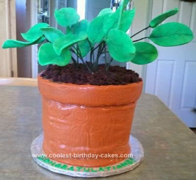 Homemade Potted Plant Cake