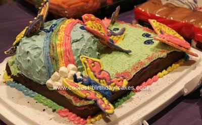 Homemade Rainbow and Butterflies Cake
