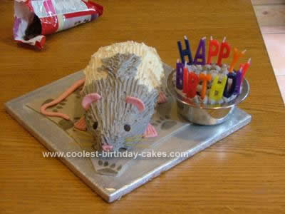 Homemade Rat Birthday Cake