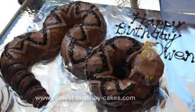 Homemade Rattlesnake Birthday Cake