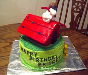 Homemade Red Baron Snoopy Cake