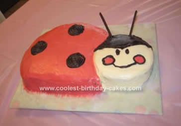 Homemade Red Ladybug Birthday Cake
