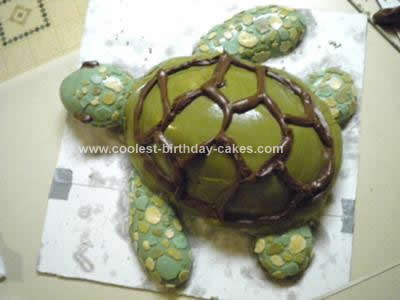 Homemade Sea Turtle Cake Idea