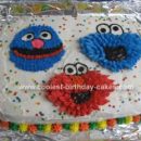 Homemade Sesame Street Birthday Cake
