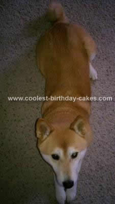 Homemade Shiba Inu Dog Cake