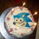Homemade Sonic The Hedgehog Birthday Cake