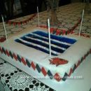 Homemade Swim Team Pool Birthday Cake