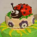 Homemade Triple Decker Lady Bug Cake