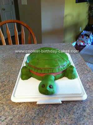 Homemade Turtle Birthday Cake