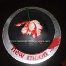 Homemade Twilight New Moon Cake