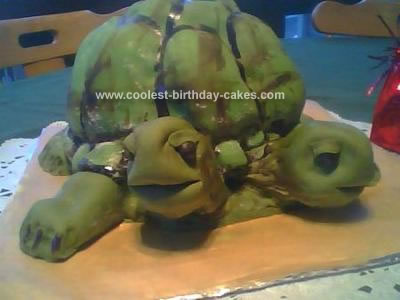 Homemade Two Headed Turtle Cake