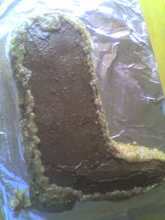 Chocolate/coconut boot cake