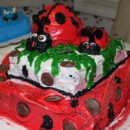 Harleigh's 6th Birthday Cake Lady Bugs