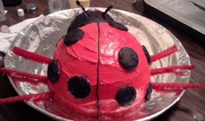 homemade-ladybug-cake-21491661.jpg