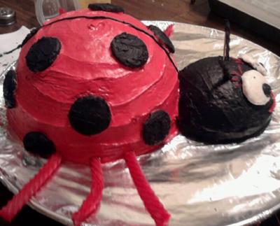 homemade-ladybug-cake-21491662.jpg